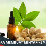 Cara Membuat Minyak Kemiri