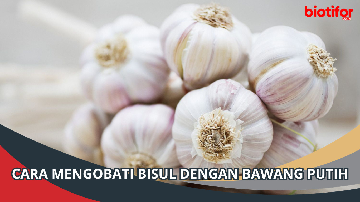 Cara Mengobati Bisul dengan Bawang Putih