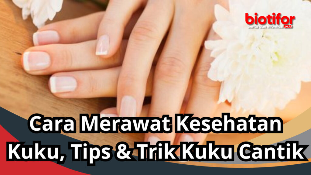 Cara Merawat Kesehatan Kuku Tips And Trik Kuku Cantik Biotifor