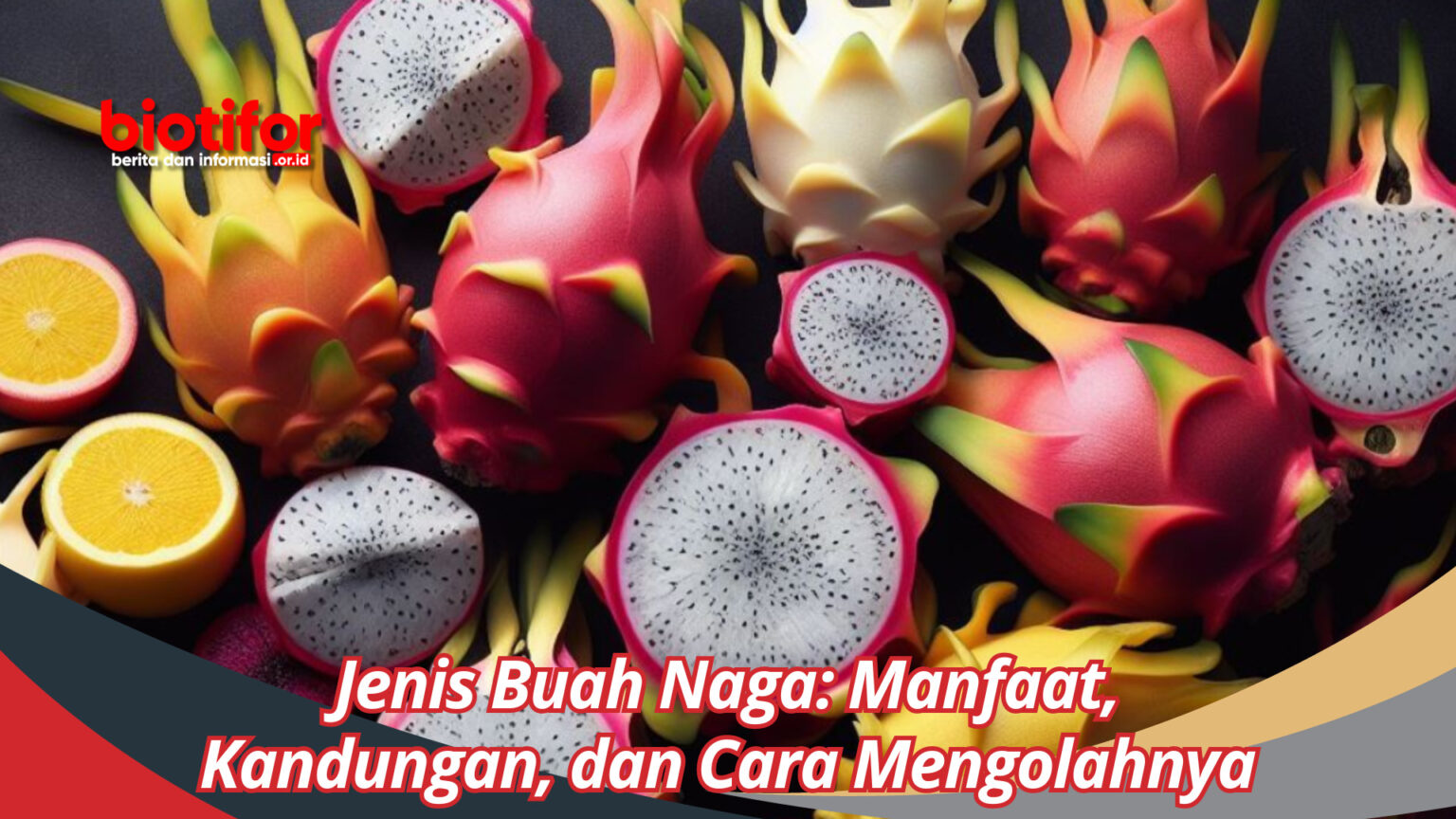 Jenis Buah Naga Manfaat Kandungan Dan Cara Mengolahnya Biotifor 