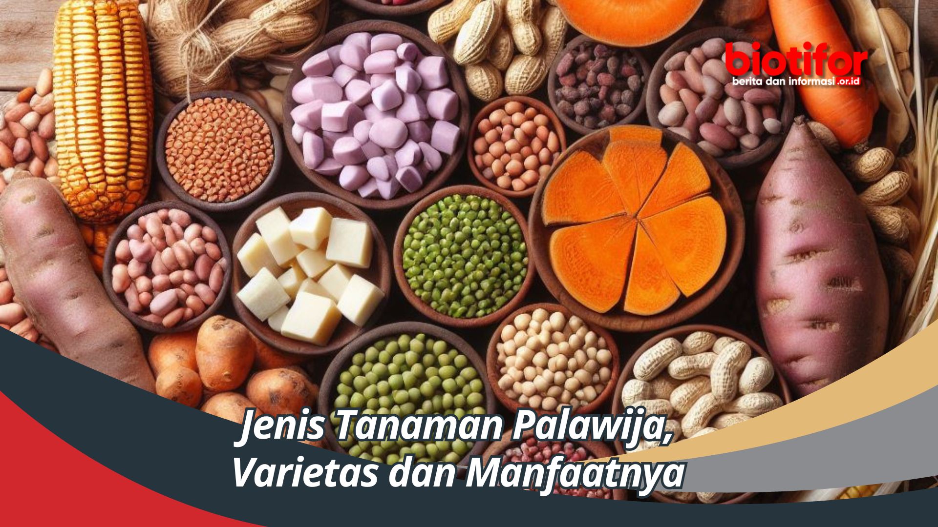 Jenis Tanaman Palawija, Varietas dan Manfaatnya