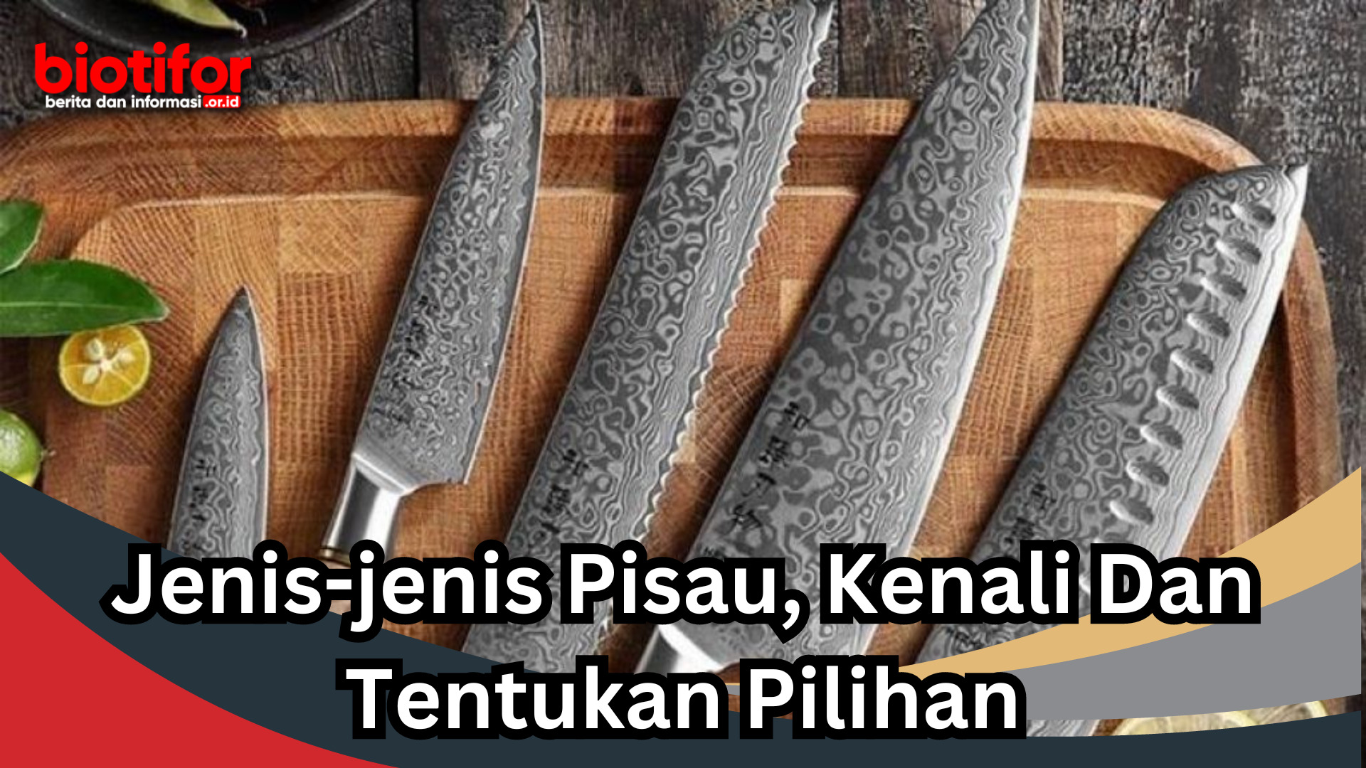 Jenis-jenis Pisau, Kenali Dan Tentukan Pilihan