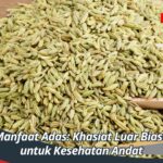 Manfaat Adas: Khasiat Luar Biasa untuk Kesehatan Anda