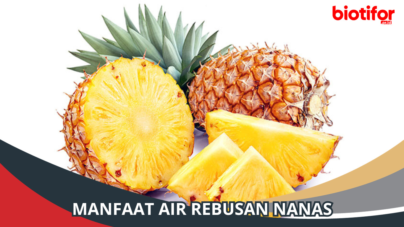 Manfaat Air Rebusan Nanas: Keajaiban Buah Segar