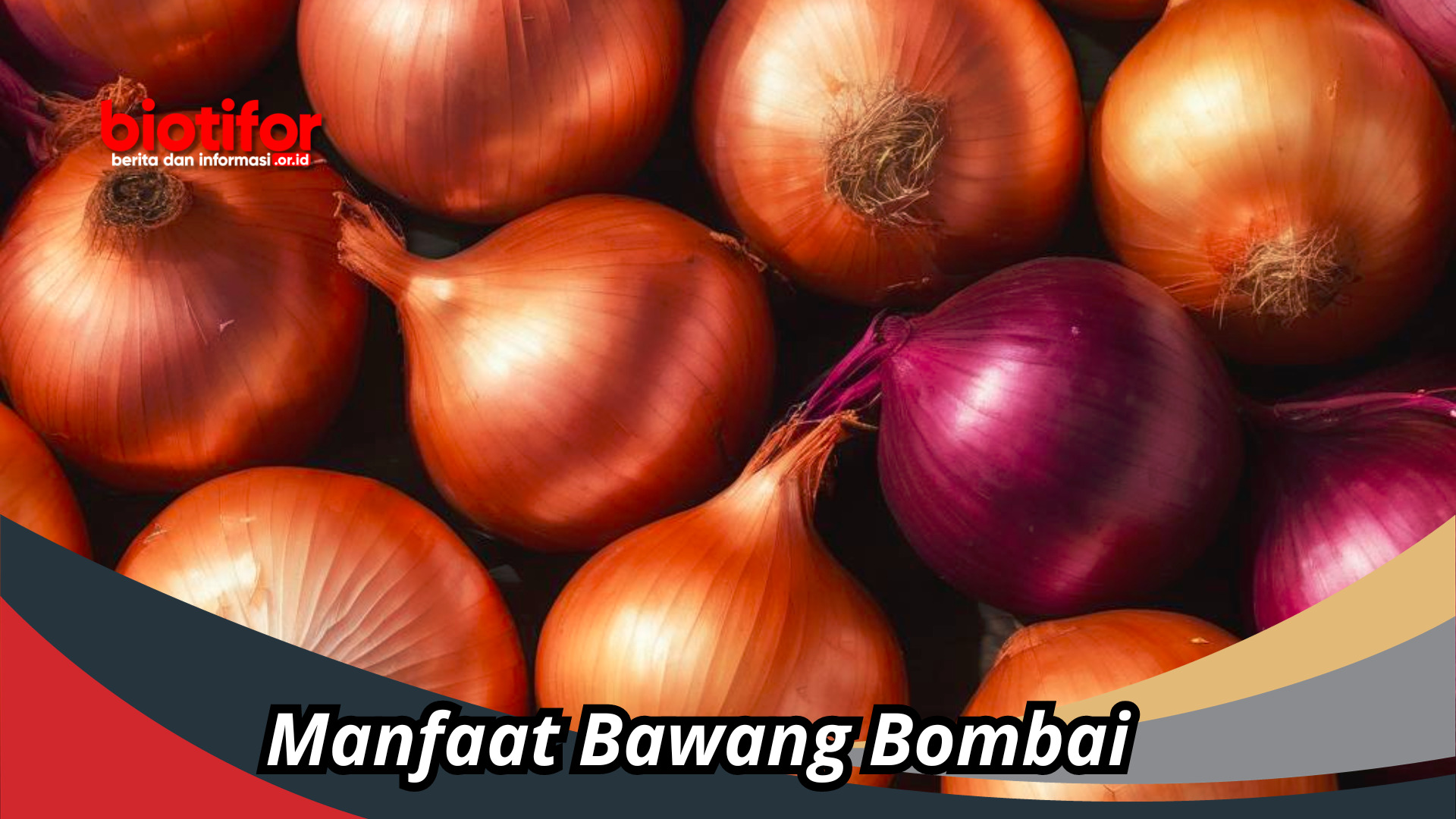 Manfaat Bawang Bombai: Tidak Hanya Pedas, Tapi Juga Sehat