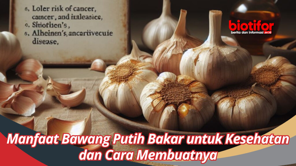 Manfaat Bawang Putih Bakar Untuk Kesehatan Dan Cara Membuatnya Biotifor