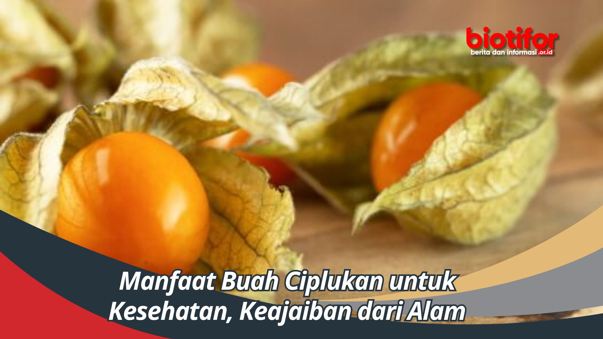 Manfaat Buah Ciplukan untuk Kesehatan, Keajaiban dari Alam