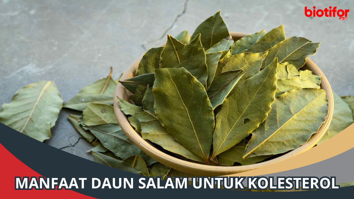 Manfaat Daun Salam untuk Kolesterol: Obat Alami yang Ampuh