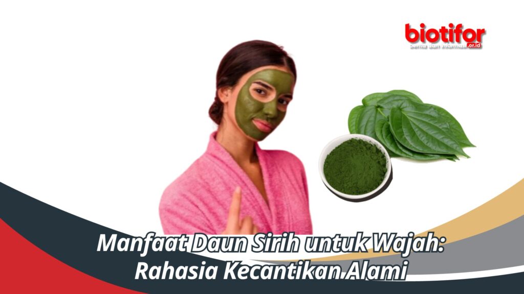 Manfaat Daun Sirih Untuk Wajah Rahasia Kecantikan Alami