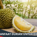 Manfaat Durian untuk Diet