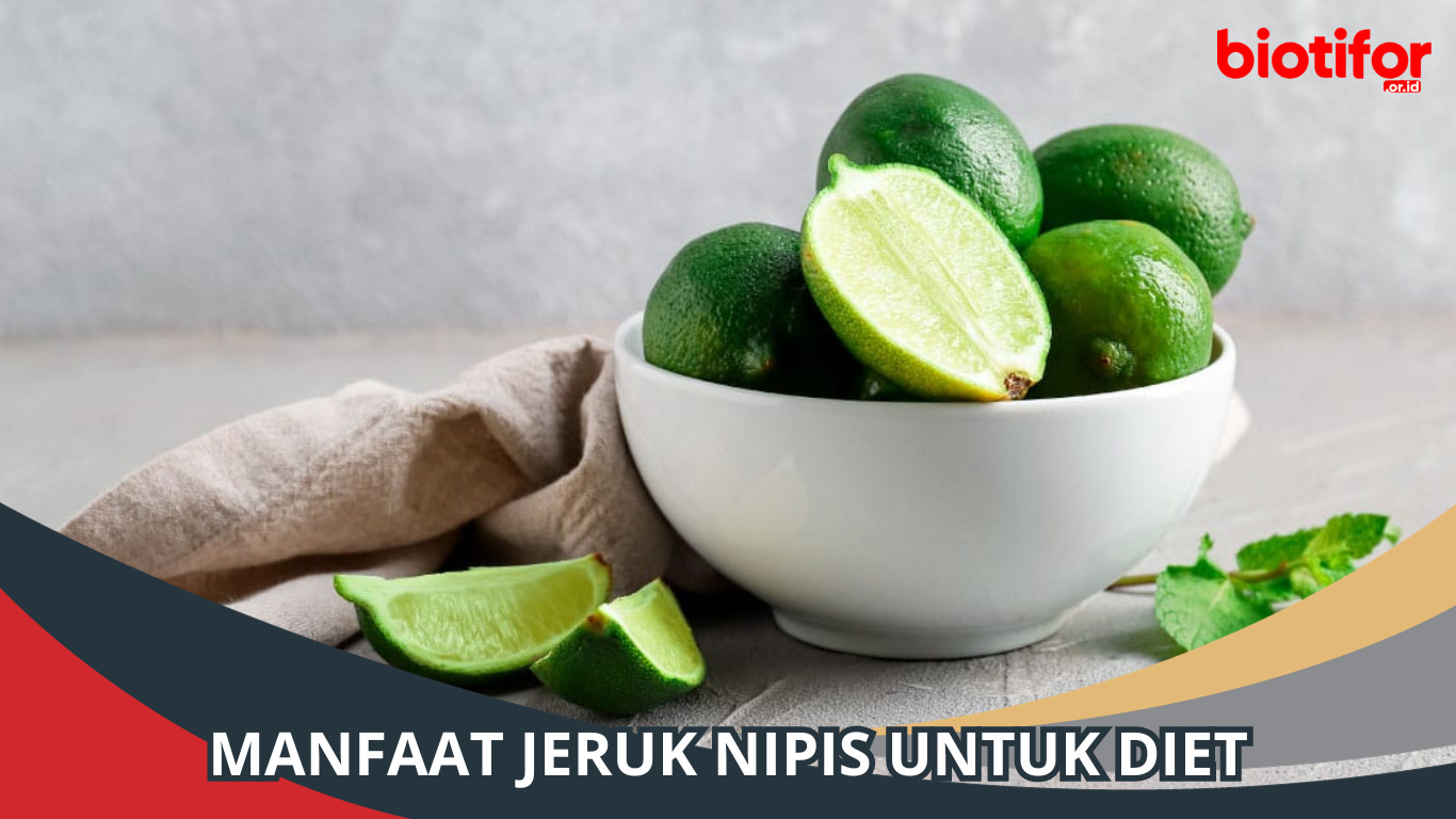 Manfaat Jeruk Nipis untuk Diet Menurunkan dengan Alami Biotifor