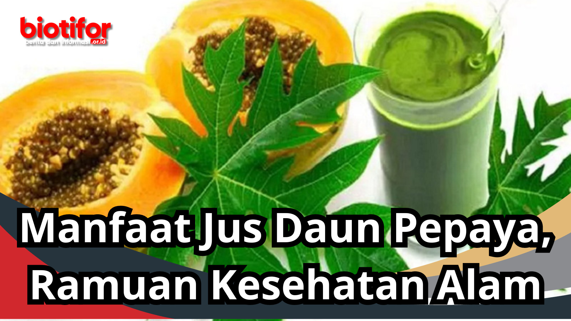 Manfaat Jus Daun Pepaya, Ramuan Kesehatan Alam