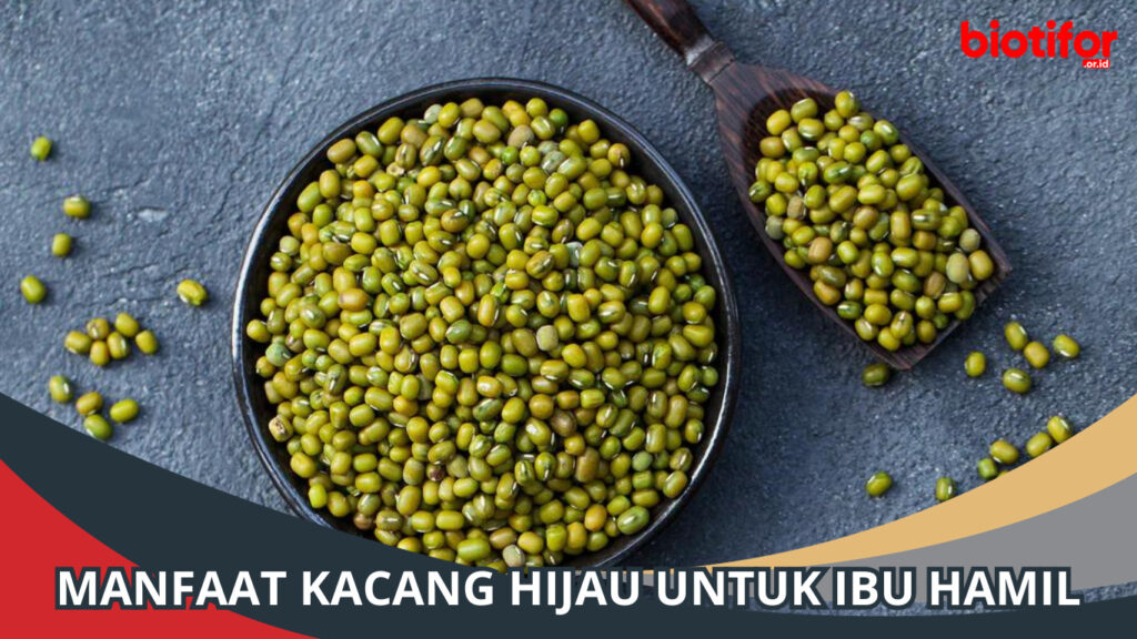 Manfaat Kacang Hijau Untuk Ibu Hamil - Biotifor