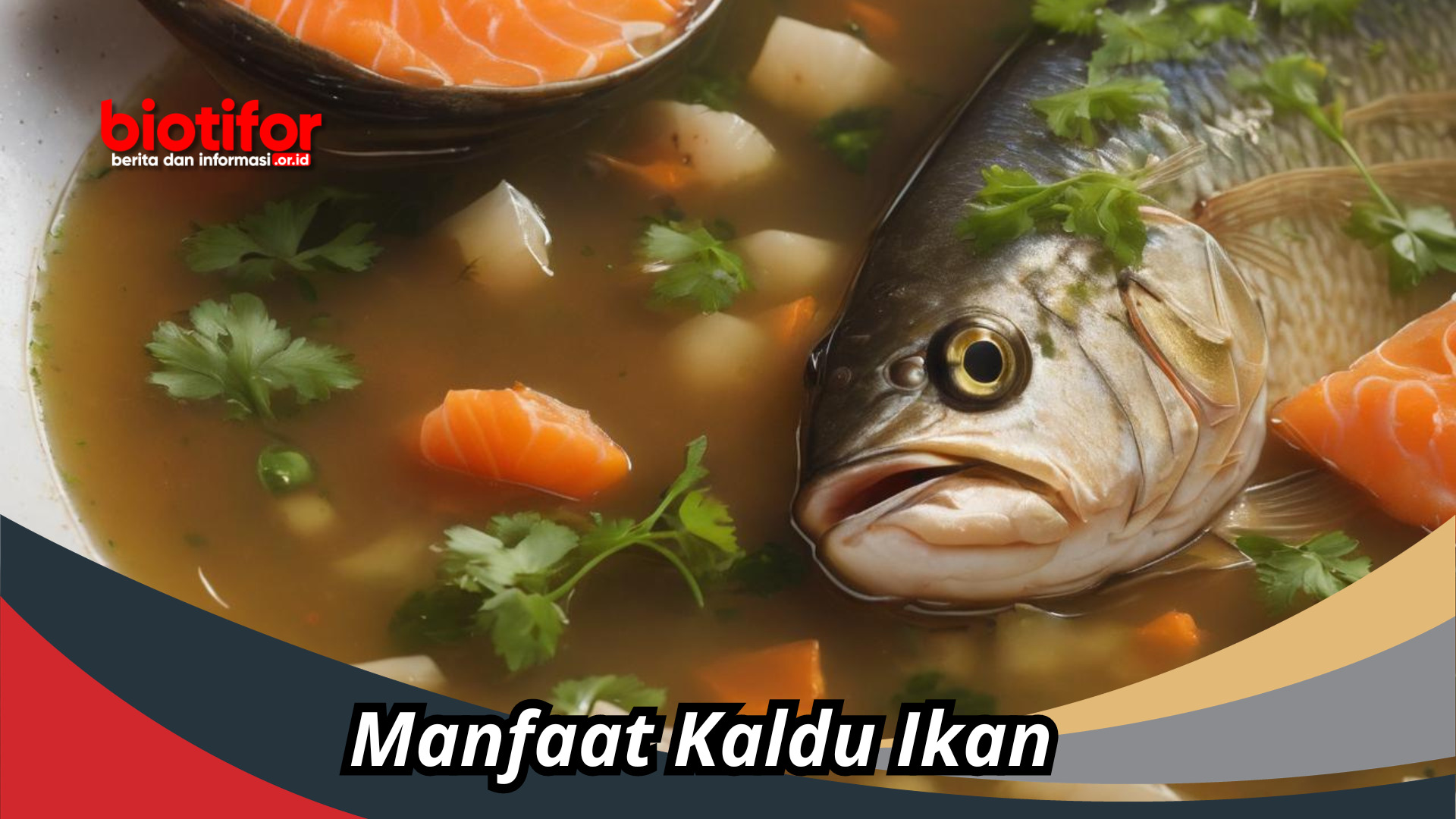 Manfaat Kaldu Ikan – Membantu Mengatasi Masalah Kesehatan