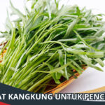 Manfaat Kangkung untuk Pencernaan