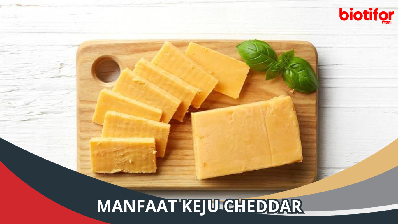 Manfaat Keju Cheddar: Lezat dan Bergizi!