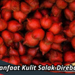 Manfaat Kulit Salak Direbus