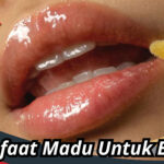 Manfaat Madu Untuk Bibir