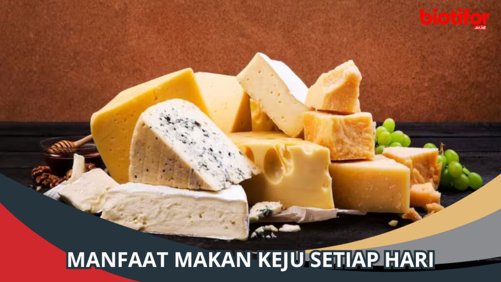 Manfaat Makan Keju Setiap Hari: Kenikmatan Sehat Untuk Tubuh - Biotifor