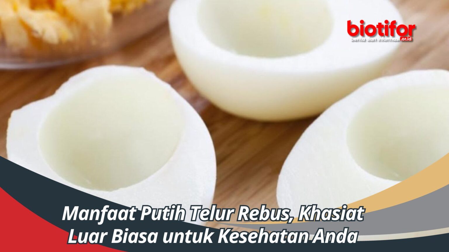 Manfaat Putih Telur Rebus Khasiat Luar Biasa Untuk Kesehatan Anda Biotifor 