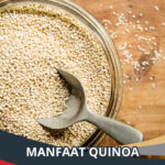 Manfaat Quinoa