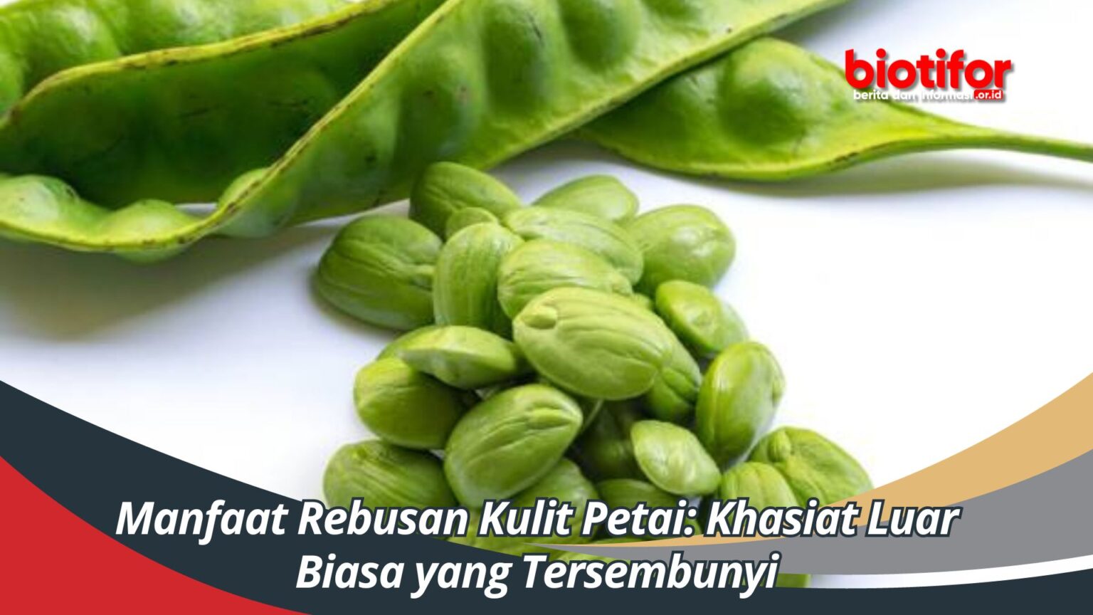 Manfaat Rebusan Kulit Petai: Khasiat Luar Biasa Yang Tersembunyi - Biotifor