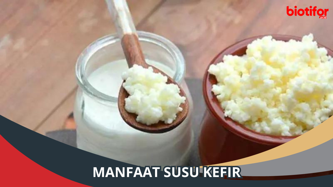 Manfaat Susu Kefir: Kesehatan dalam Setiap Tetesnya