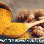 Manfaat Temulawak untuk Wajah