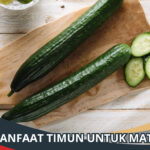 Manfaat Timun untuk Mata