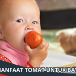 Manfaat Tomat untuk Bayi