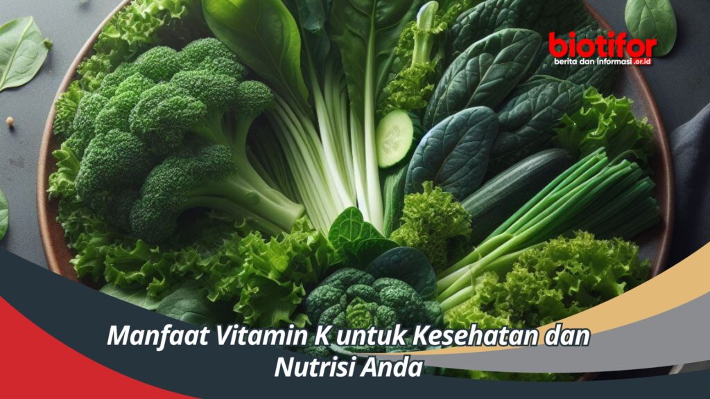 Manfaat Vitamin K Untuk Kesehatan Dan Nutrisi Anda - Biotifor