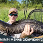 Mimpi Menangkap Ikan Gabus