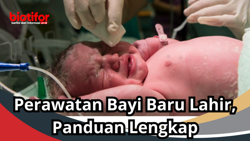 Perawatan Bayi Baru Lahir Panduan Lengkap Biotifor