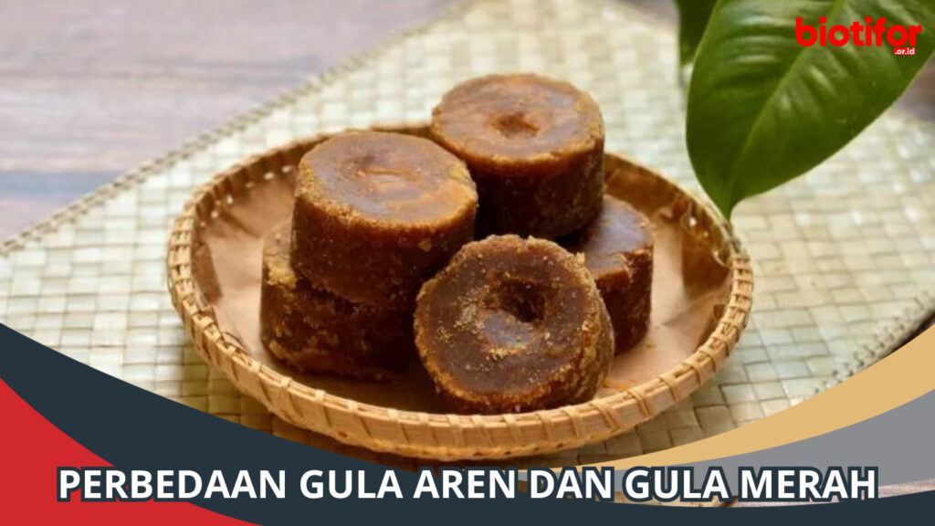 Perbedaan Gula Aren Dan Gula Merah: Lebih Dari Sekadar Manis - Biotifor