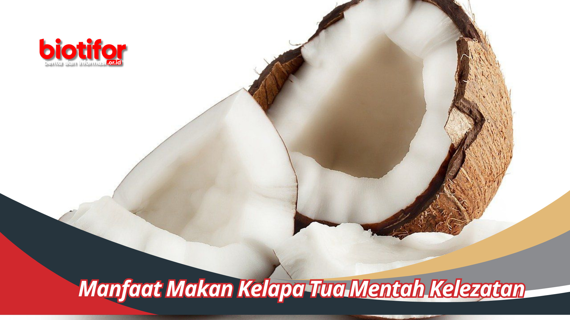 Manfaat Makan Kelapa Tua Mentah Kelezatan dan Kesehatan