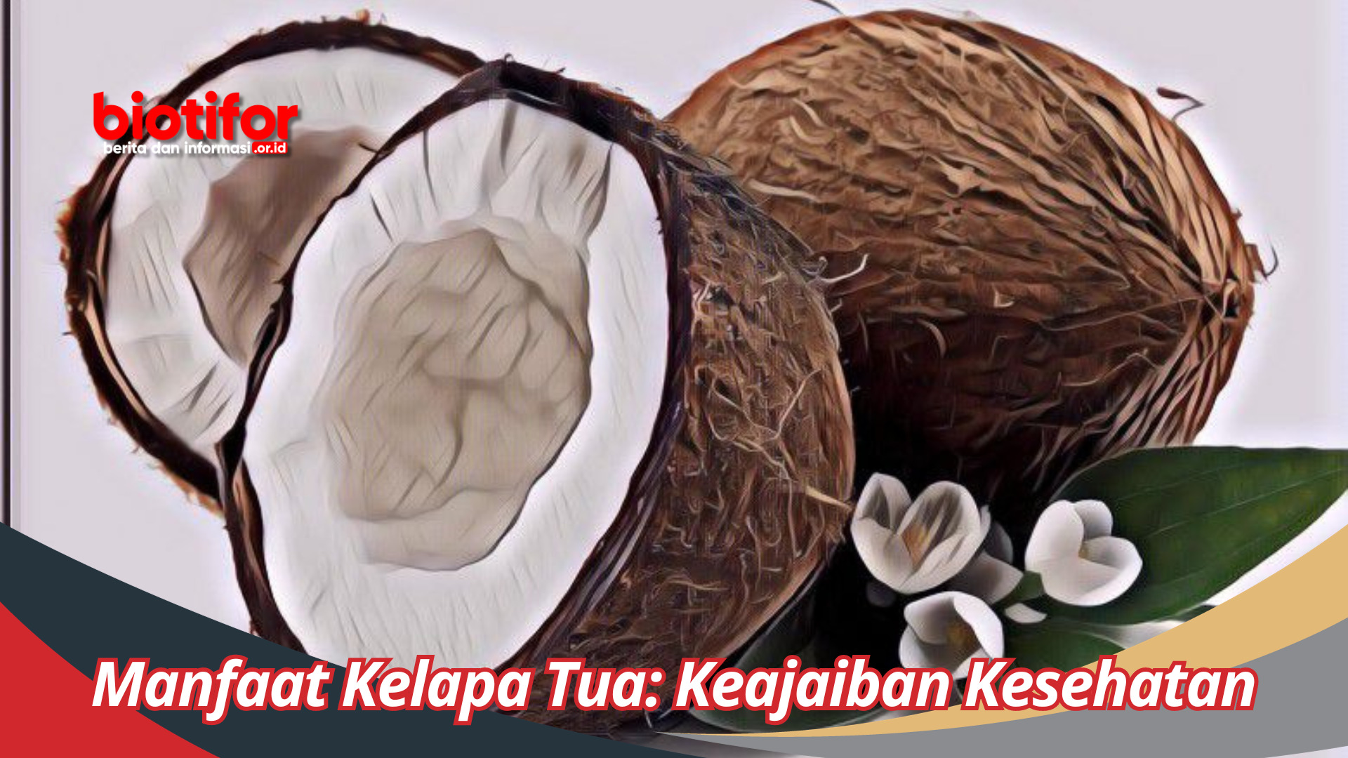 Manfaat Kelapa Tua: Keajaiban Kesehatan dalam Buah Tropis yang Eksotis