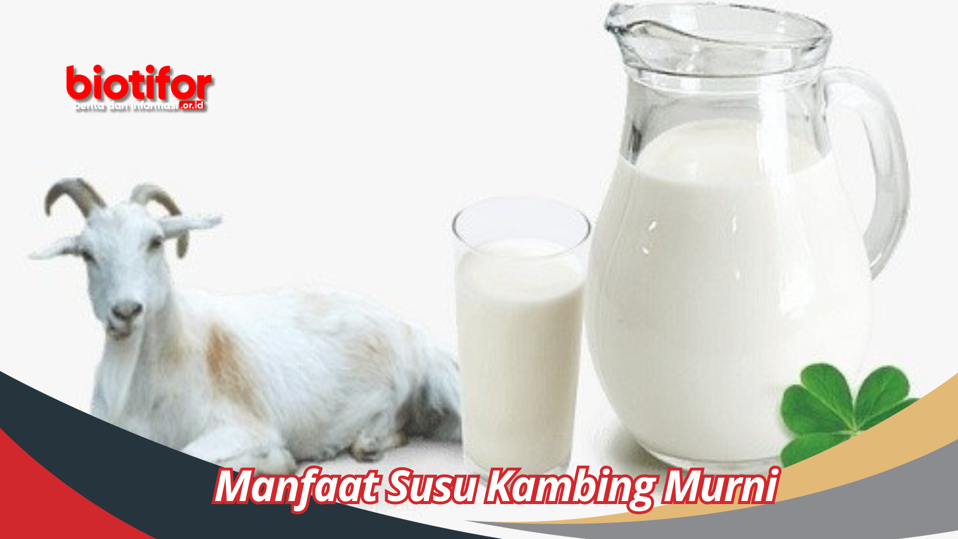 Manfaat Susu Kambing Murni: Kesehatan Luar Dalam yang Luar Biasa