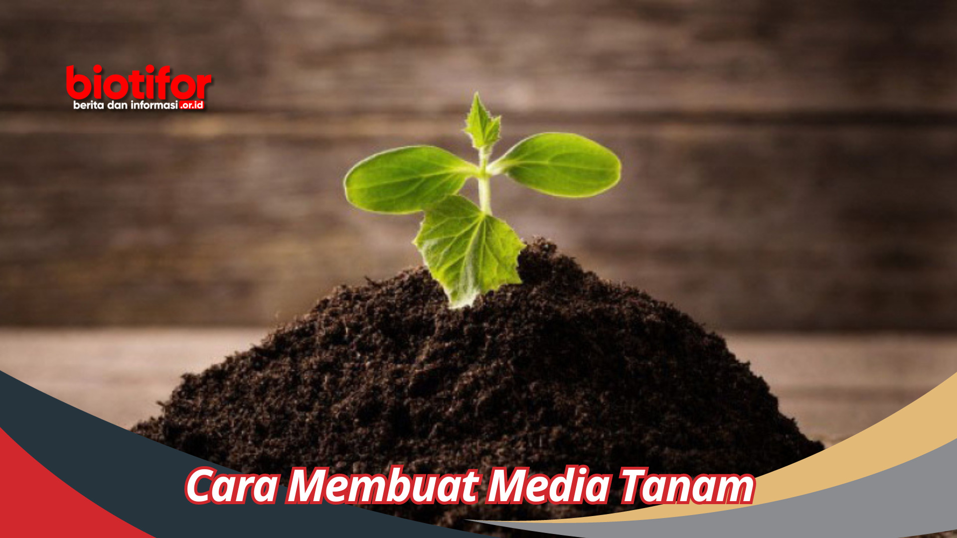 Cara Membuat Media Tanam: Solusi Kreatif untuk Pertumbuhan Tanaman yang Lebih Baik