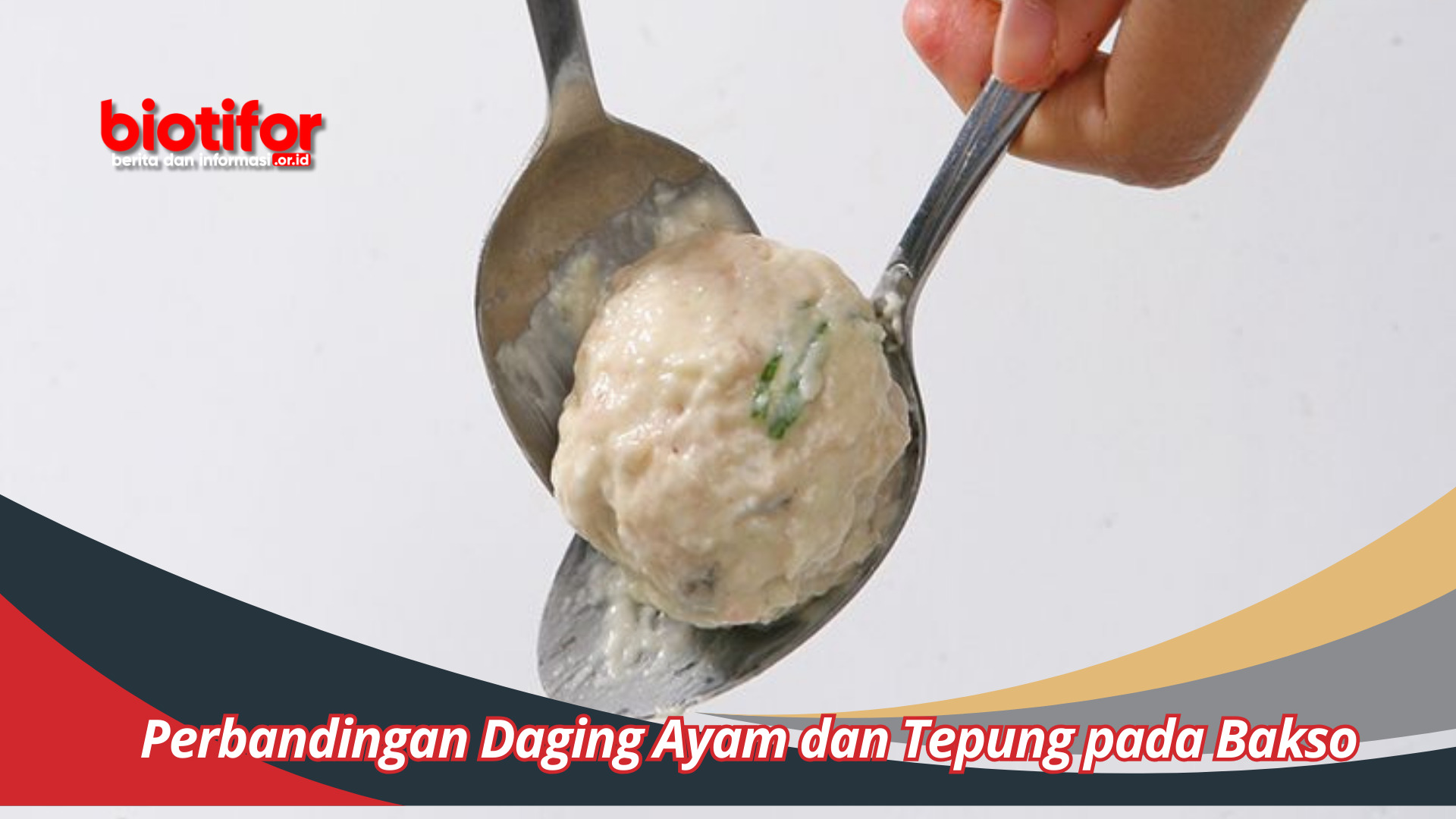 Perbandingan Daging Ayam dan Tepung pada Bakso