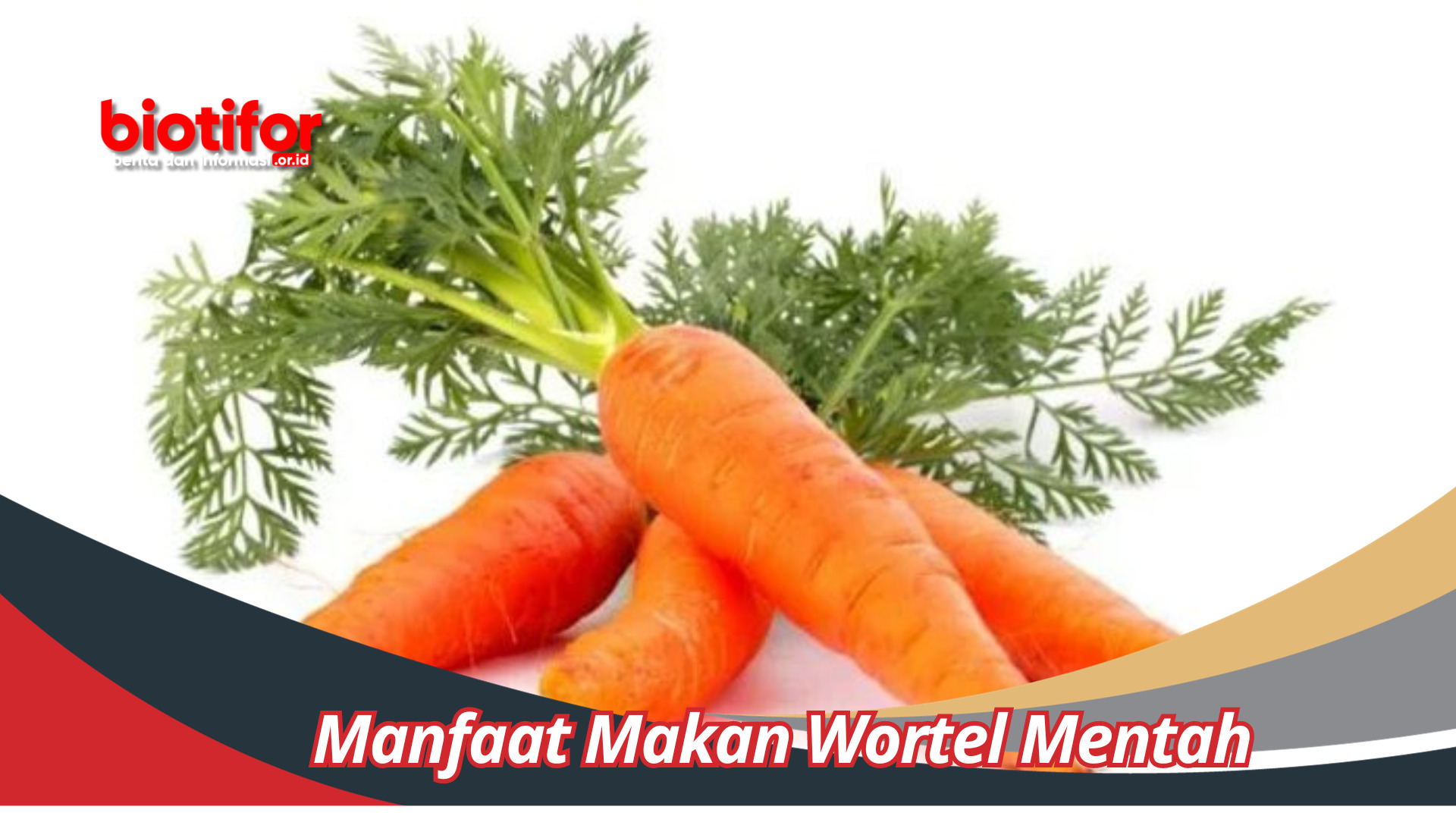 Manfaat Makan Wortel Mentah Yang Jarang Di Ketahui