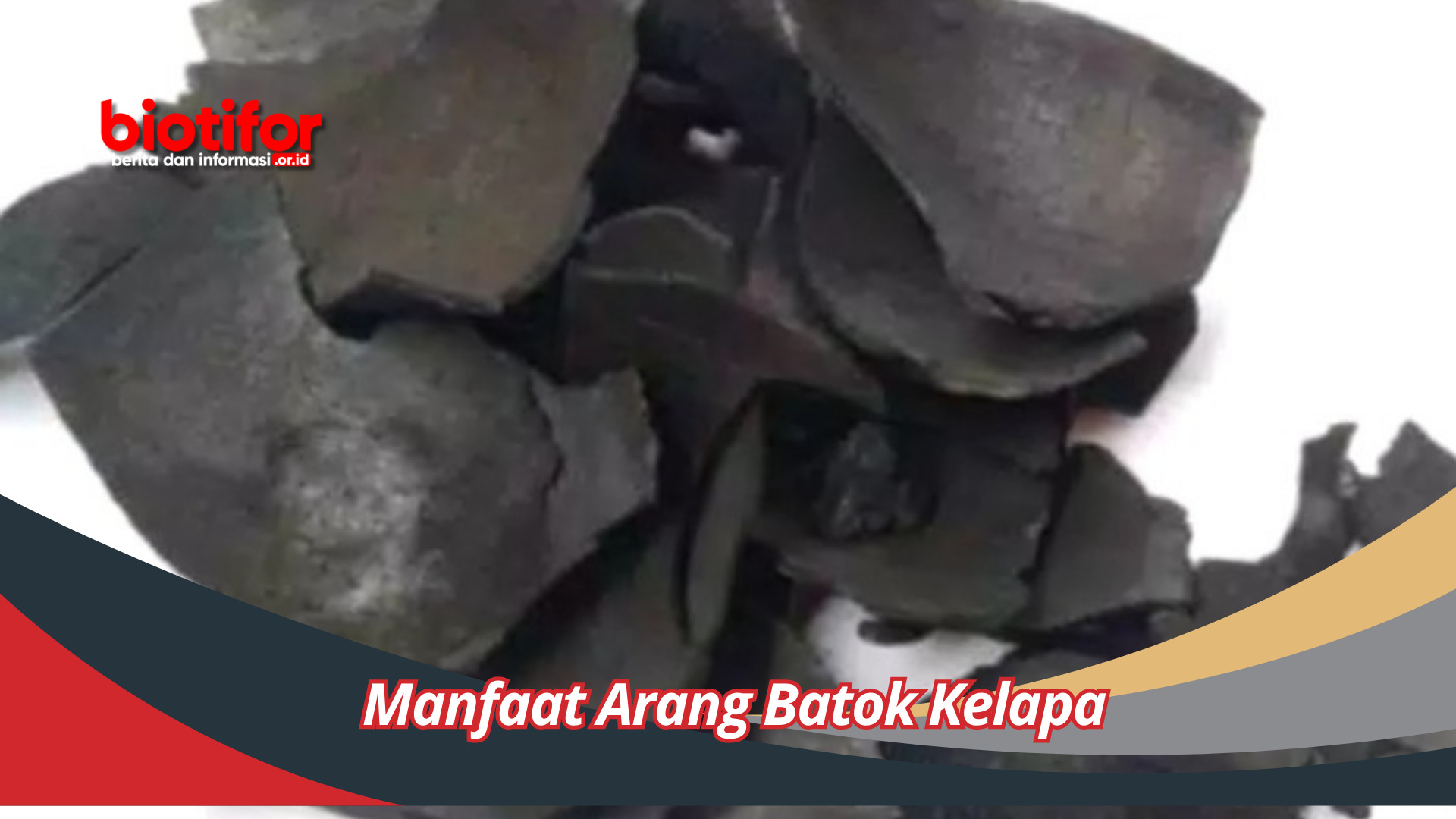 Manfaat Arang Batok Kelapa: Keajaiban untuk Kesehatan dan Lingkungan