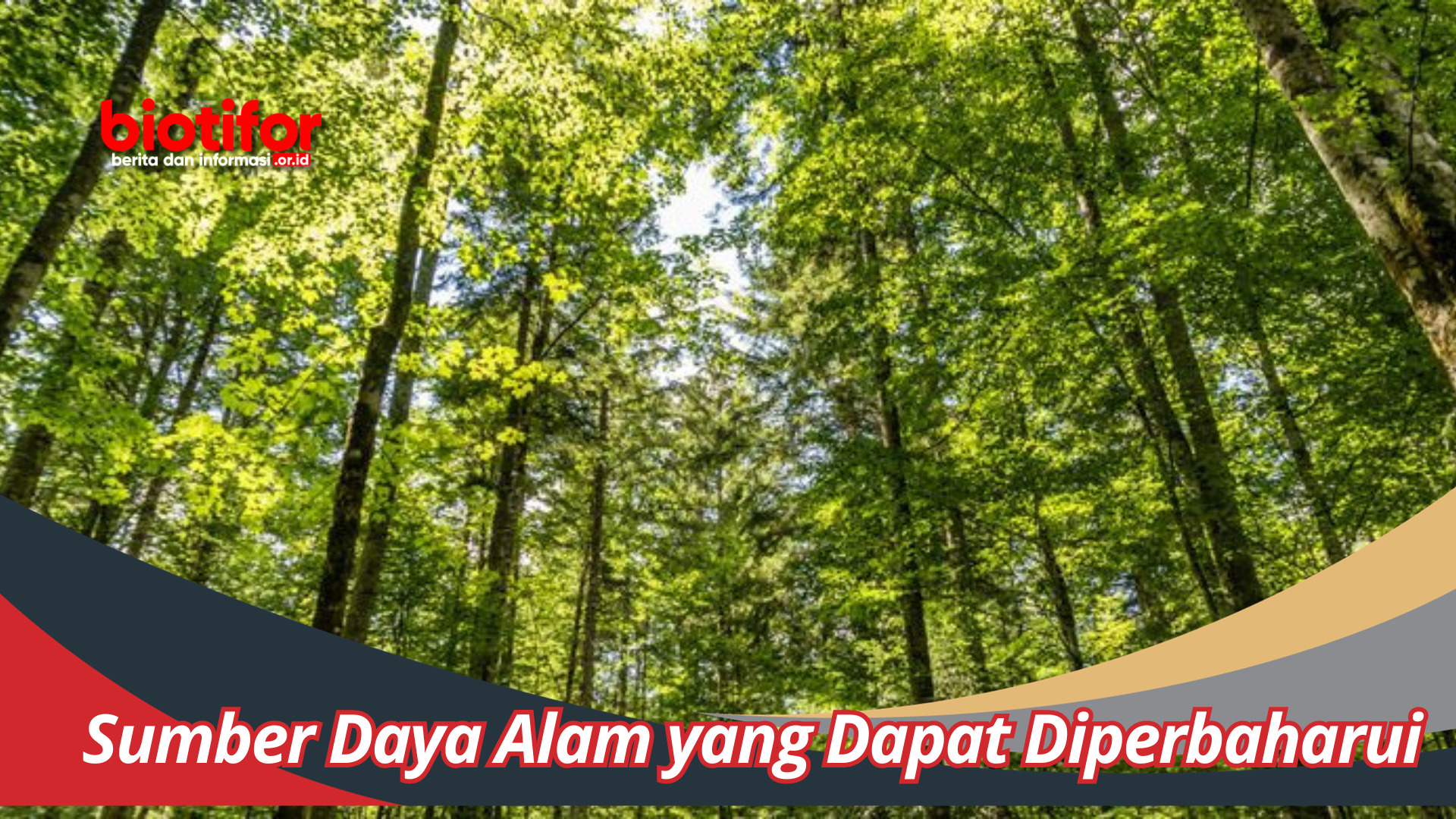 Sumber Daya Alam yang Bisa Diperbaharui: Menjaga Kekayaan Alam