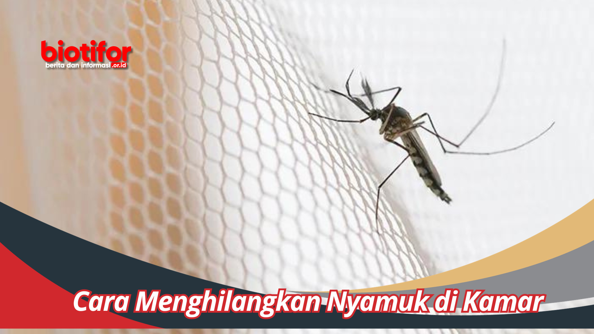 Cara Menghilangkan Nyamuk di Kamar Tips Efektif