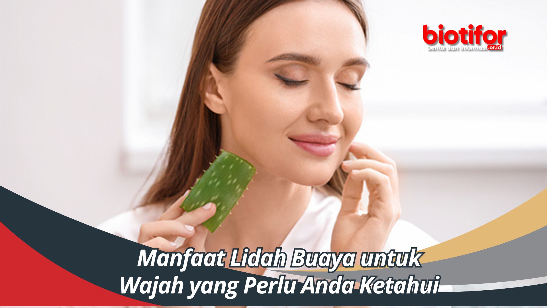 Manfaat Lidah Buaya untuk Wajah yang Perlu Anda Ketahui